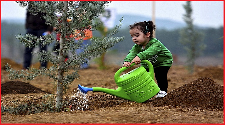 Tree-planting